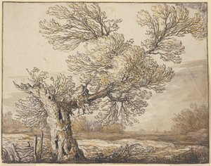  door Aelbert Cuyp