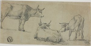 Drie schetsen van koeien door Aelbert Cuyp