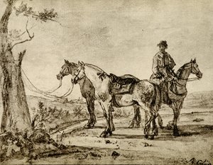 Drie paarden