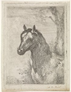 Paardenkop door Aert Schouman (signed by artist)