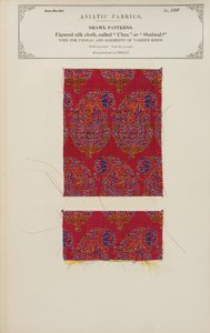 Geweven zijden doekmonster gemaakt in Herat, uit De Collectie van de Textielfabrikanten van India, door John Forbes Watson, gepubliceerd in 1866