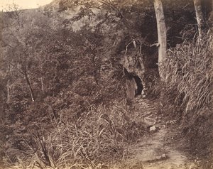 Weg naar het Yuen foo-klooster, ca. 1869