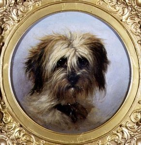Een Kop van een Terrier door Agnes Dundas