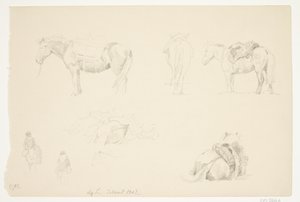Studieblad met paarden