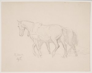 Te paard door Agnes Lunn
