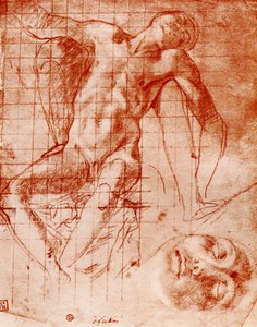 Studies door Agnolo Bronzino