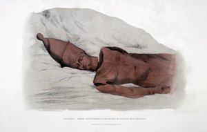 Kolossaal hoofd ontdekt in de ruïnes van Karnak door G. Belzoni, 1820