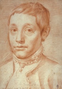 Portret van zijn zoon, Antonio Carracci