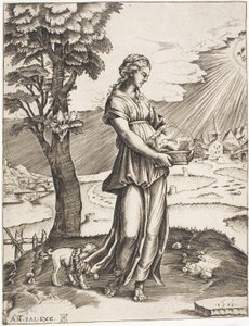 De Cumaeense Sibylle door Agostino dei Musi