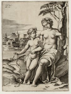 Venus gewond door Cupido
