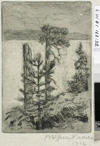 Landschap aan het meer door Akseli Gallen-Kallela