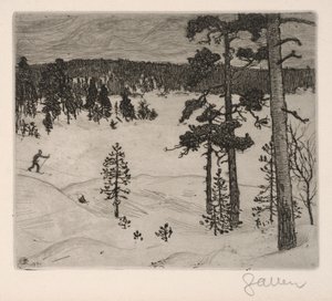 De donkere sluier van de winter door Akseli Gallen-Kallela