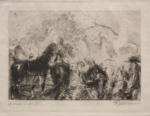 Paardenmarkt in Algiers