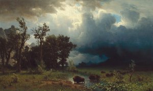 Buffalo Trail: De Dreigende Storm