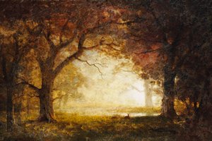 Zonsopgang in het bos door Albert Bierstadt
