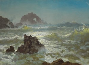 Seal Rock, Californië door Albert Bierstadt