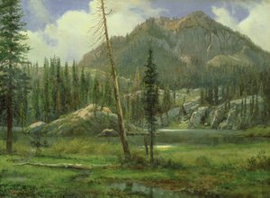 Sierra Nevada bergen door Albert Bierstadt