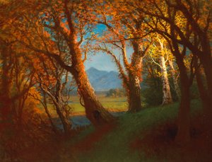 Zonsondergang in het Nebraska Territory door Albert Bierstadt