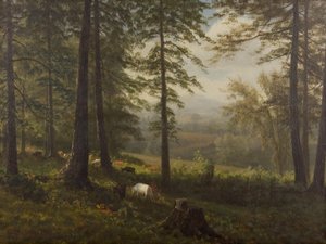 Uitzicht op een open plek door Albert Bierstadt