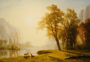 Yosemite Valley door Albert Bierstadt