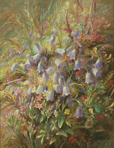 Hazenklokjes en andere bosbloemen en grassen door Albert Durer Lucas