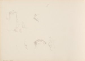 Ontwerpen van planten, Savonlinna Toren