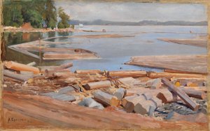  door Albert Edelfelt