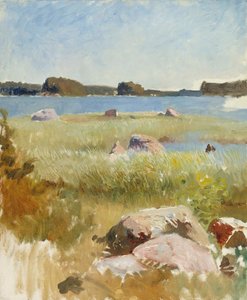  door Albert Edelfelt