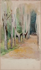  door Albert Edelfelt