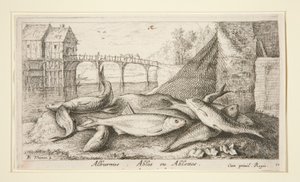 Alburnus. Ables of Ablettes door Albert Flamen