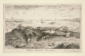 Astacus fluriatilis. L door Albert Flamen