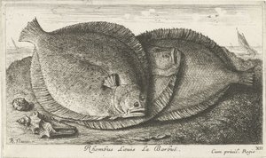 Drie grieten op het strand Vissen en andere zeedieren - zoutwater derde reeks Poissons de mer