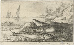 Drie makrelen op het strand door Albert Flamen