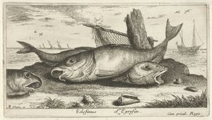 Drie schelvissen op het strand door Albert Flamen