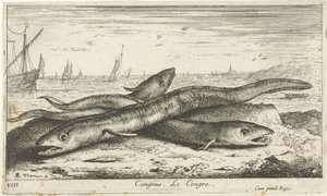 Drie zeepalingen op het strand door Albert Flamen