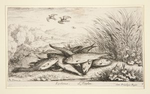 Epelanus, L door Albert Flamen