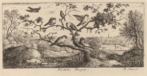 De Goudvink door Albert Flamen