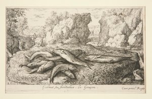 Gabius siue fundulus. Le Goujon door Albert Flamen