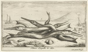 Gepen op het strand door Albert Flamen