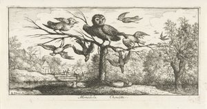 Landschap met kerkuil tussen andere vogels Monedula Chouëtte. (titel op object) Vogelboek (serie titel) Livre d