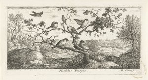 Landschap met snippen