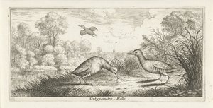 Landschap met twee rallen op een oever door Albert Flamen