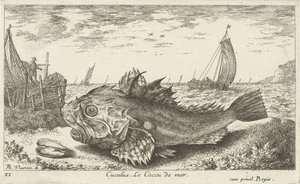 Poon op het strand door Albert Flamen