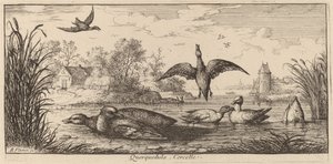 Querpedula, de Taling door Albert Flamen