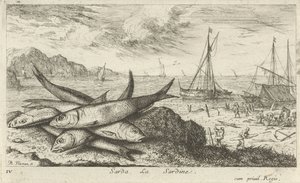 Sardines op het strand door Albert Flamen