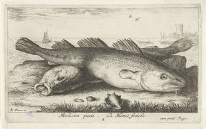 Twee kabeljouwen op het strand door Albert Flamen