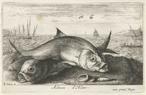 Twee meivissen op het strand door Albert Flamen