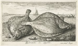 Twee schollen op het strand