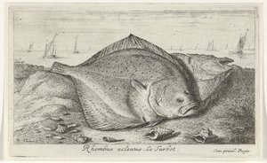 Twee tarbotten op het strand door Albert Flamen
