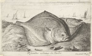 Twee tarbotten op het strand door Albert Flamen